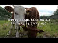 Girl Like You By: Jason Aldean