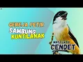 Download Lagu GEREJA PETIR VS KUNTILANAK MASTERAN CENDET GACOR SANGAT AMPUH