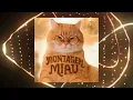 Lagu MONTAGEM MIAU (Slowed)