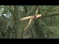 Jenison hit hard by Saturday morning storm