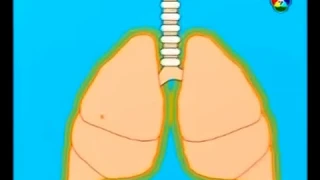 ภาวะปอดรั่วคืออะไร และเกิดขึ้นได้อย่างไร