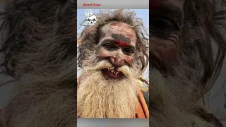 بياكلو لحوم البشر Shorts 