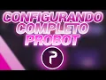 COMO CONFIGURAR O PROBOT no DISCORD COMPLETO Fake - BRYT