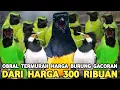 Download Lagu CAK IJO GACOR 700 RIBU JALAK SUREN GACOR 300 RIBU SRINDIT TIGA EKOR 100 RIBU DI PASAR BURUNG PRAMUKA