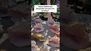 Man-O-War Abaco… Seashells & Secret Beach Vibes!