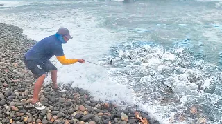 Experto en Atarraya Enfrenta el Mar Agitado y Saca la Red Llena de Peces