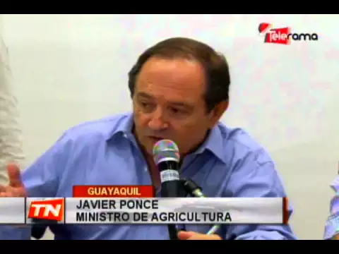 Especulación en precio del maíz preocupa al ministerio de agricultura