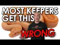 Top 5 Rookie Mistakes Reptile Keepers STILL Make Stop Doing These