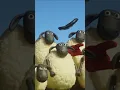 Download Lagu Sheep Sports #shaunthesheep #animation #cartoonforkids #english #sports