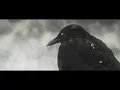 「AMV」𝐀𝐋𝐋𝐎 🄱🄻🄰🄼 🅂