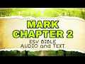 MARK 2 ESV And TEXT BIBLE