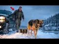 351 A Navy SEAL Saw a Mother Dog Cross the Snow With Three Puppies to Find One Open Door