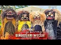 Lagu BARONGAN SINGOSARI WELERI ‼️ ● LIVE LUMBUNG EXPO BABADAN - LIMPUNG