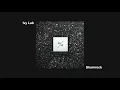 Ivy Lab -  Shamrock