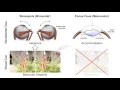 Download Lagu Accommodation-invariant Computational Near-eye Displays |  SIGGRAPH 2017