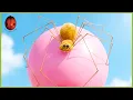 Zzzeplin Minuscule 30 Compilation