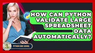 How Can Python Validate Large Spreadsheet Data Automatically - Python Code School