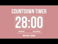 28 MINUTE COUNTDOWN TIMER WITH SOFT ALARMS