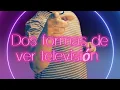 Asi puedes ver la Television en tu Movil GRATIS TDT Channels Player y Photocall TV