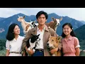 Download Lagu [Multi SUB] ｜全集｜重生到1984年，开局捅了马蜂窝，意外激活兽仆系统，可以绑定契约各种动物！整座大山都成他的后花园，生活简直爽翻天#爽文 #MiniDrama#精彩大陆短剧 #下山追短剧