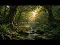 Enchanted Woods Meditation Soothing Ambient Sounds for Instant Anxiety Relief silentsanctuary8