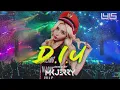 Lagu DIU  -  DJ Leng Yein Feat Mk Jerry Remix