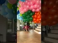 Hoeveel ballonnen heb je nodig om een ​​puppy te laten vliegen? 🥺🎈