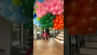How many balloons does it take to make a puppy fly?🥺🎈