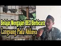 Lagu CARA MELATIH BURUNG BEO PINTAR BICARA MENIRUKAN SUARA MANUSIA, langsung dari pakarnya: Bird Talking