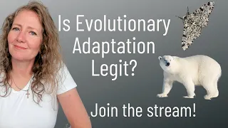 Is Evolutionary Adaptation a Real Phenomenon