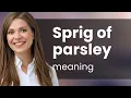 Understanding Sprig of Parsley An English Language Explainer