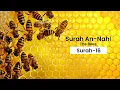 Download Lagu 16. Surah An-Nahl | The Bee | Mishary Rashid Alafasy | Beautiful Recitation with Translation