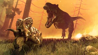 Quando o INCÊNDIO Começa, Não Existe Lugar para se Esconder! | Beasts of Bermuda