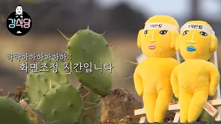 강식당1 강식당 화면조정 시간 모음 