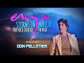 Download Lagu Enya - Storms in Africa (Safety Dance Remix) - Remixed by Don Pelletier