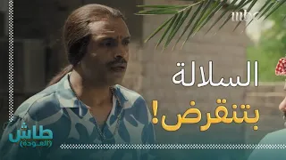 طاش العودة حلقة السلالة ولدهم جاي من لبنان عشان يزوجونه ويحافظون على السلالة 