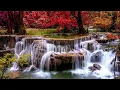 André Rieu ft. Gheorghe Zamfir - The Lonely Shepherd Relaxing Music • Peaceful Piano Music