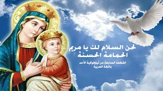 لحن السلام لك يا مريم الحمامة الحسنة القطعة السابعة من ثيؤطوكية الأحد بالعربى 