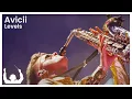 Download Lagu SYNTHONY - Avicii 'Levels' (Live at The Auckland Domain 2024) | ProShot 4K