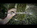 5 Basic Bushcraft-Knots