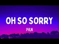 Download Lagu PVLN - Oh So Sorry (Lyrics) \