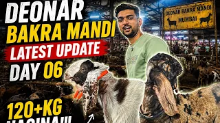 Sastey Se Leke Mahengey Bakre | Deonar Bakra Mandi 2026 Latest Update | Day 06 | Mumbai | Deonar 