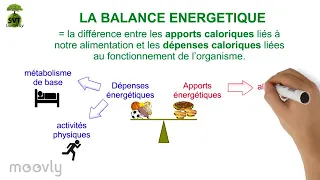 La balance énergétique (SVT F.Guilleray)