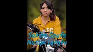 Download 2020 - Sahiba Saufa [ Nutupi Laraku ] Melon Music , Ajeg kiee...!!! MP3