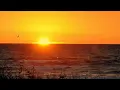 Slow Music - e.g. for Cool Down After Working Out - relaxdaily N°022
