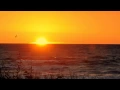Download Lagu Slow Music - e.g. for Cool Down After Working Out - relaxdaily N°022