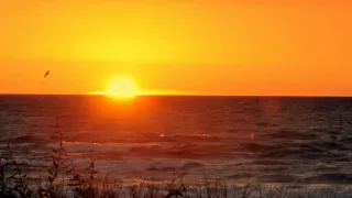 Slow Music E G For Cool Down After Working Out Relaxdaily N 022 