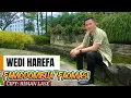 Download Lagu Famodombua faomasi ||  baru terupdate 2025 || DUT mix || wedi harefa riman lase @parisloimusic 