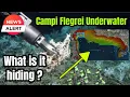 Download Lagu A large Coral Reef discovered beneath the Gulf of Naples at a depth of 1640ft ! Volcanic activity ?