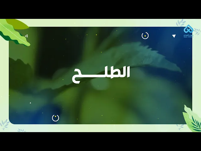 نباتات في القرآن | الطلح 04